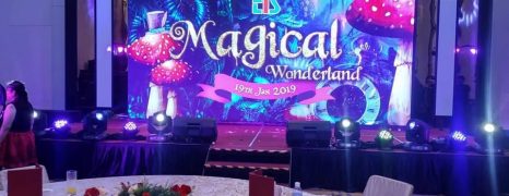 TIS Group Magical Wonderland Annual Dinner
